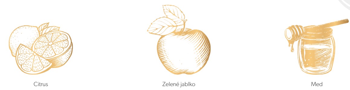 Snímek obrazovky 2024-09-03 124409